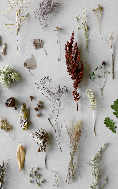 Die Natur lässt uns immer wieder staunen