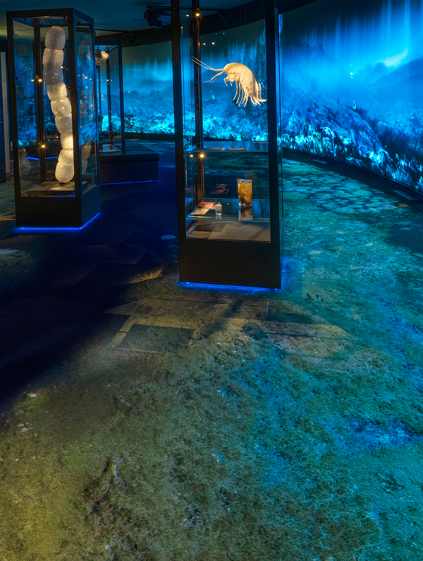 University Museum of Bergen