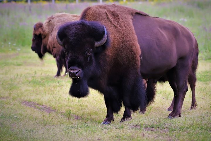 Unternehmerische Verantwortung