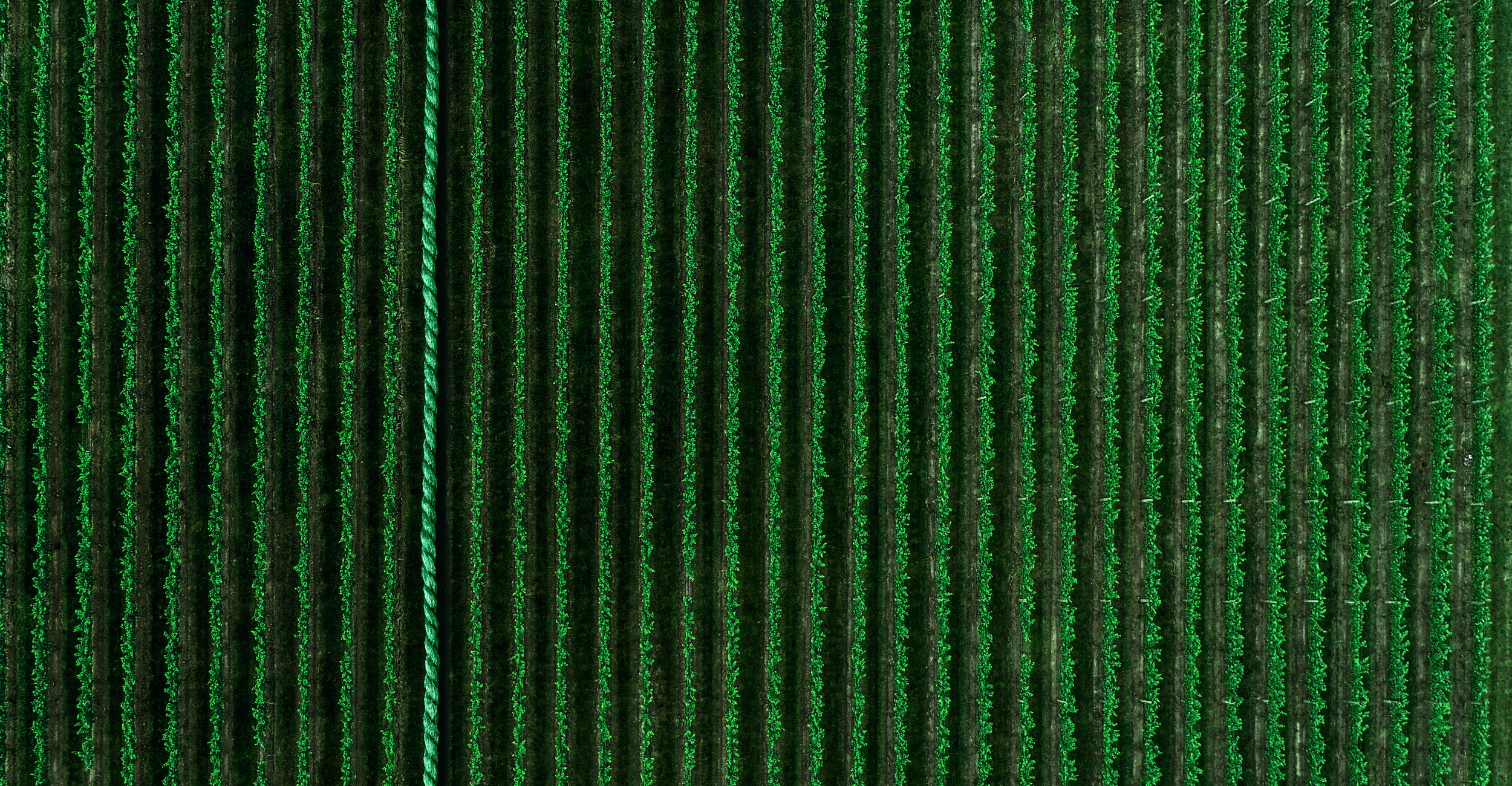 Wir verfügen über jahrzehntelange erfahrung darin, grün zu sein