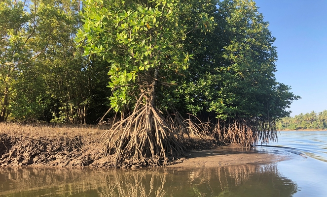 CO<sub>2</sub> Kompensation?