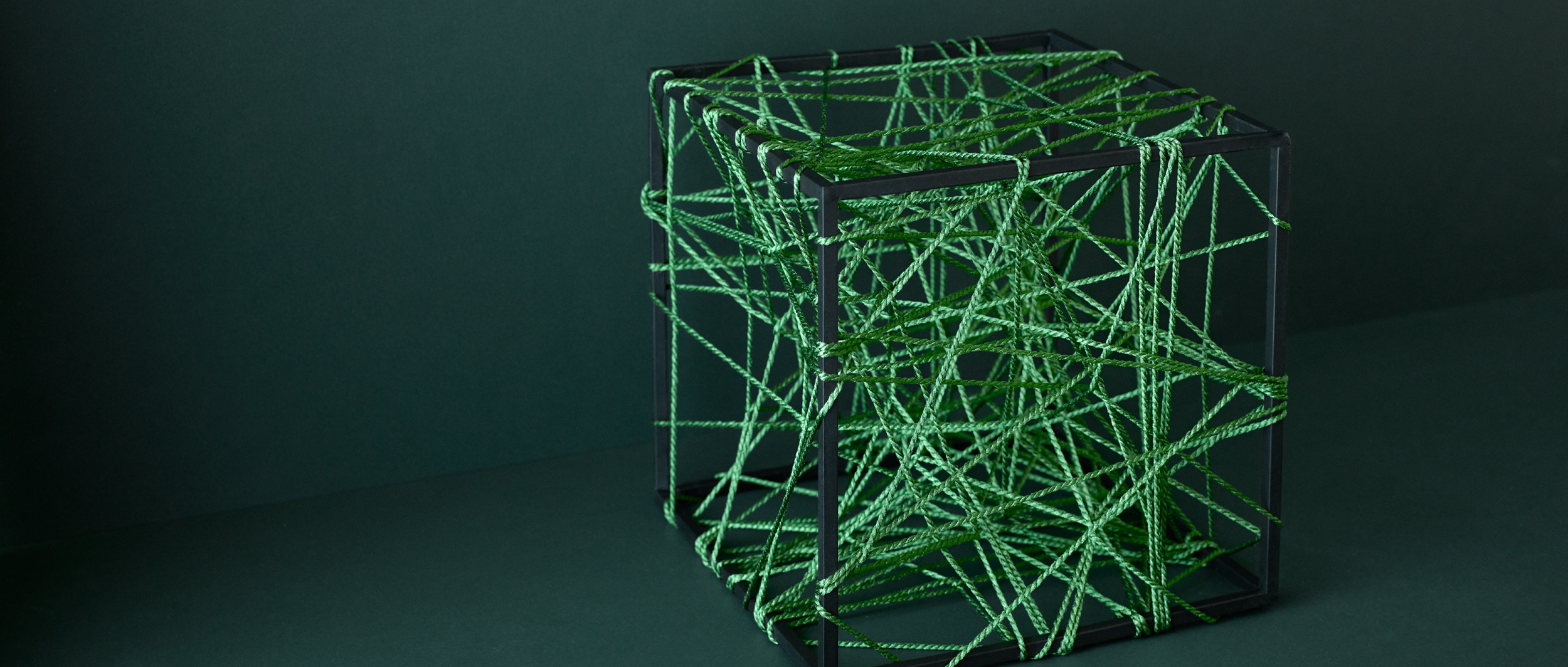 Nachhaltigkeit ist keine Option. <br>Sie ist in unsere Denkweise eingewoben.