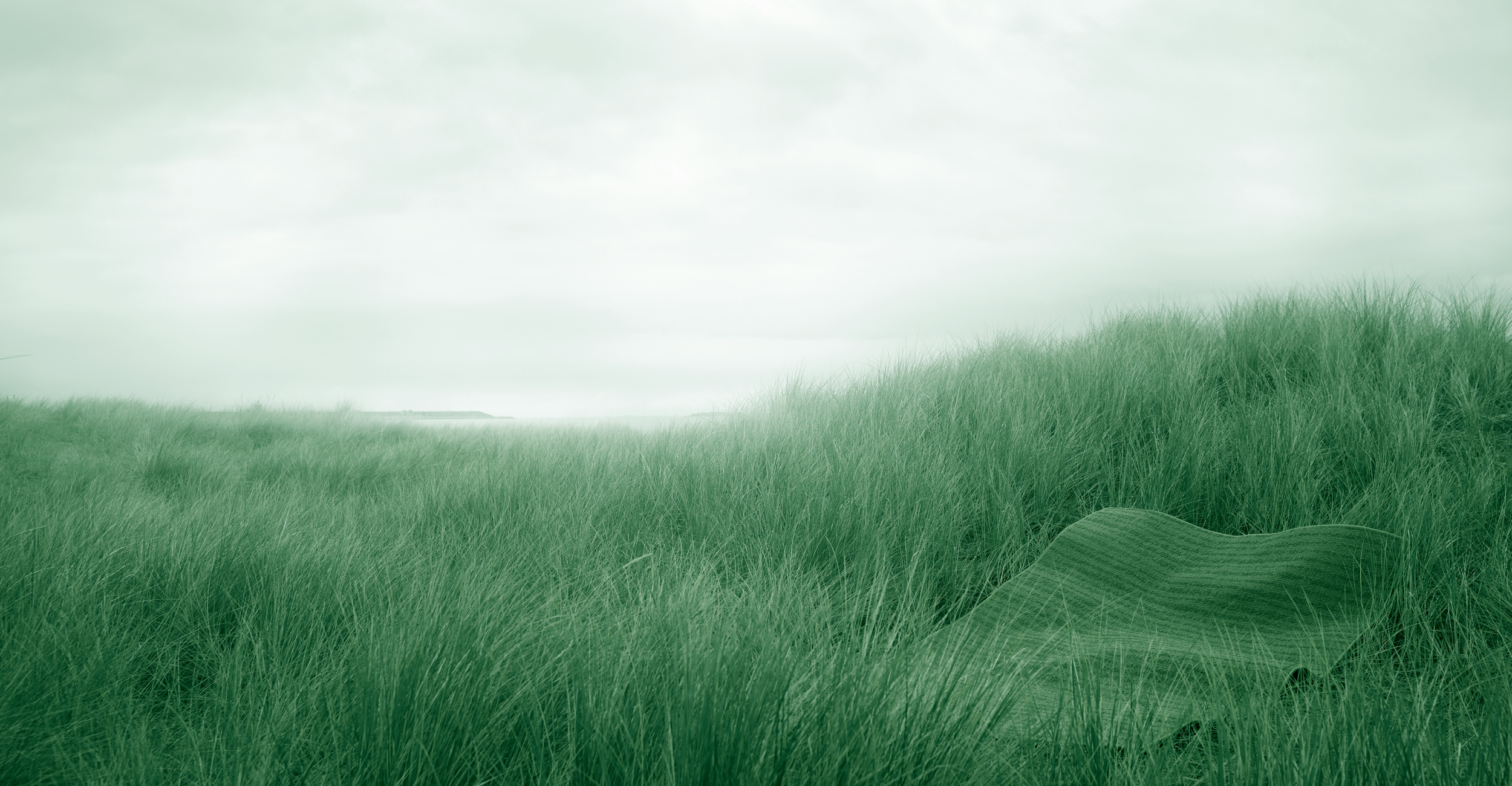 Wir haben einen Traum<br> - und er ist grün