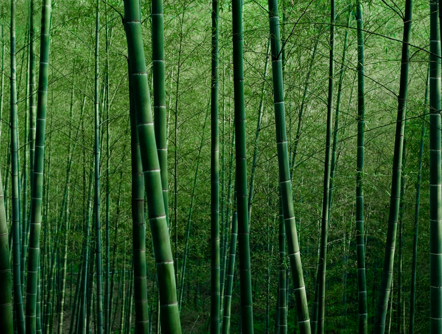 Ethik als Geschäftsparameter