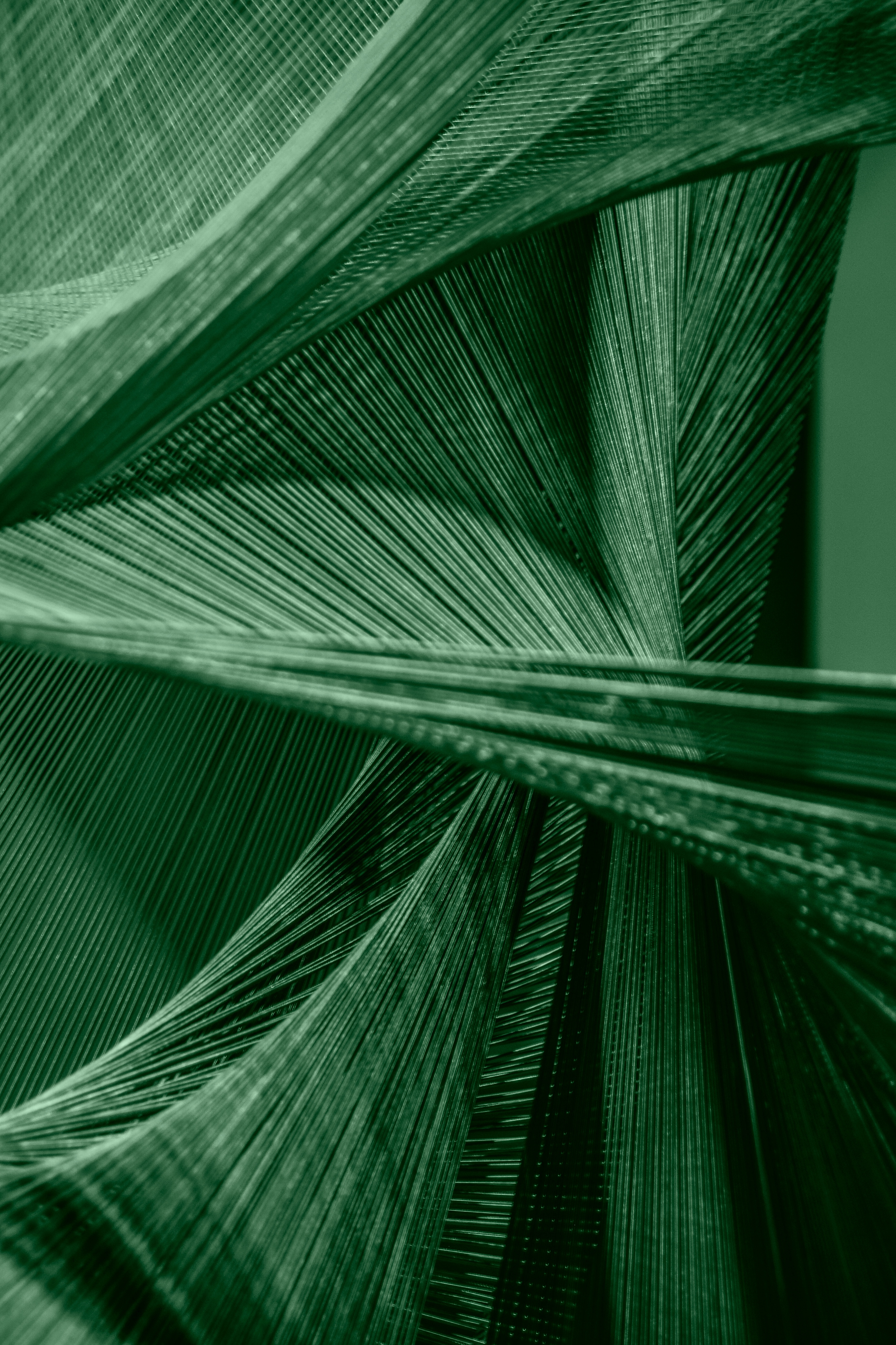 Nachhaltigkeit ist nicht optional <br>– sie steckt in allem, was wir tun