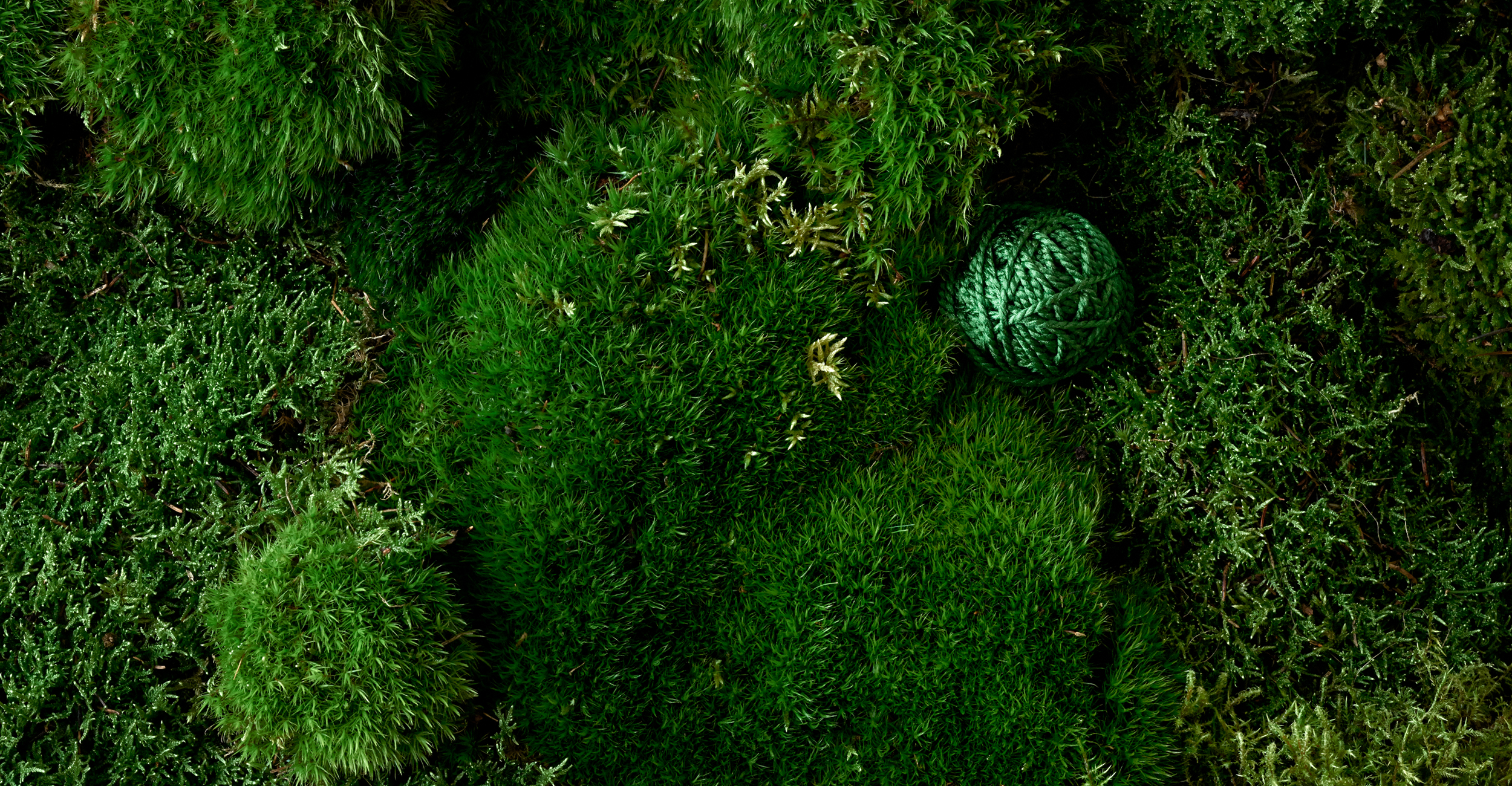 UNSERE NACHHALTIGKEITSSTRATEGIE