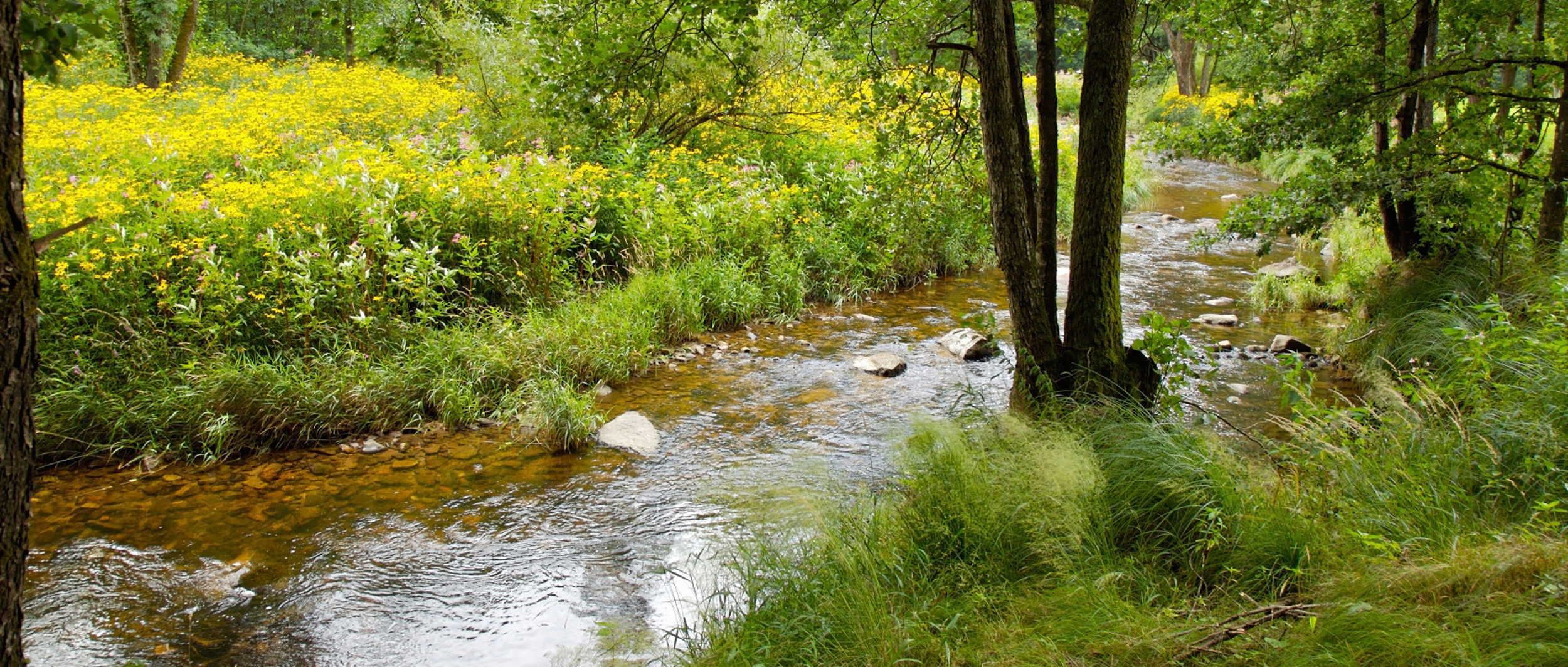 Kreisprozesse in der Produktion